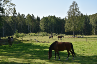 Landskap vid Norrtorp som hörde till Lingsbergs gård. Torpet var en uppodling i skogen med 15 hektar. Torpet är först omnämnt 1709 i Mantalslängd över Vallentuna socken 1709.