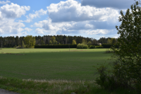 Landskap vid Strömstorp, kallat Strömmen, öster om Lindholmens gård i Frösunda. Strömstorp hörde till Lindholmens gård. En hög granhäck döljer torpet på andra sidan det öppna åkerlandskapet. 