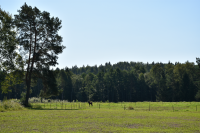 Åkerlandskap vid Norrtorp som hörde till Lingsbergs gård. Torpet var en uppodling i skogen med 15 hektar. Torpet är först omnämnt 1709 i Mantalslängd över Vallentuna socken 1709.