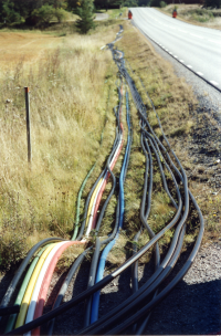 Kablar i diket längs Angarnsvägen i Åsta.