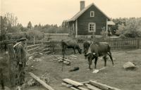 Kråktorp ligger utmed vägen mellan Lindholmens gård och Vada, strax öster om Södertorp.