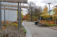 Promenadväg i Kulturhusparken hösten 2014. Kulturhusets gråblå fasad och pergola till vänster. Längst bort mitt i bild syns Coop Extras röda fasadskylt. 