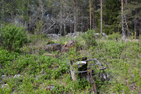 Gammal rostig spishäll vid torpet Sibirien. Av torpet Sibirien finns bara en ruin. Husgrund, jordkällare och stenmurar samt trädgårdsväxter som äppelträd och syren, vittnar om att det en gång har stått ett litet torp på platsen. Gran och tall har tagits bort för att frilägga resterna efter torpet och gynna de gamla trädgårdsväxterna. Arbetet har utförts av kommunen med stöd från Skogsstyrelsen.