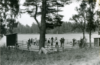 Festligheter vid Frösunda festplats i juli 1973. Konstnären Ulf Gripenholm lagade dansbanegolvet till festen.
•Fotografiet ingår i bildserien ”Vardagsliv i Vallentuna kommun” av Rachael Gough-Azmier & Gunilla Blomé, Haga Studios HB.