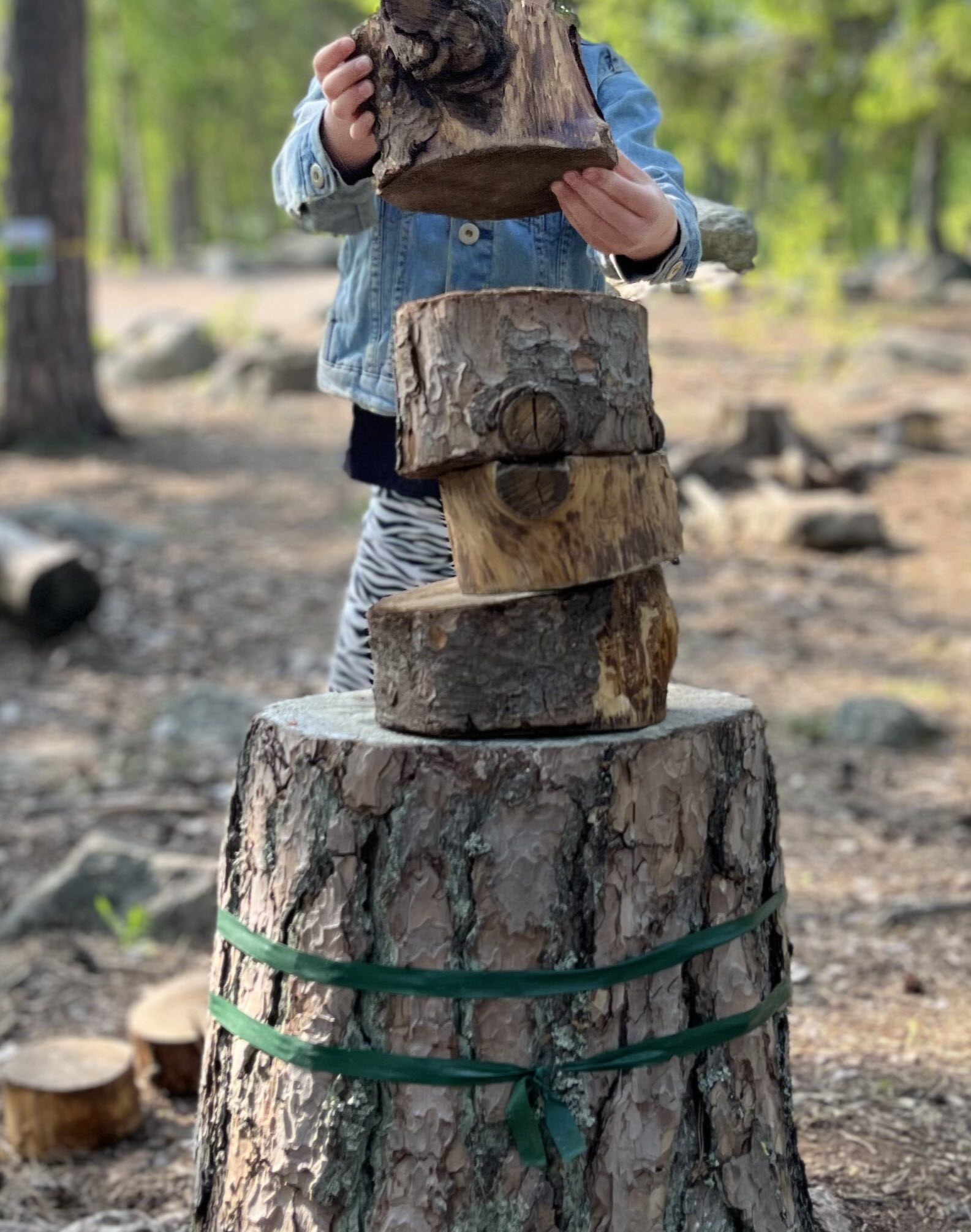 Barn bygger på höjden med trädbitar.