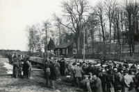 Auktion i Vallentuna på 1950-talet. Försäljning av boskap. Auktionsförrättare var Sven Wahlström. Platsen / gården okänd.