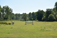 Åkermarken vid Lövlunda, på andra sidan Lingsbergsvägen från Lövlunda sett, används som hästfållor och hästbete. 	