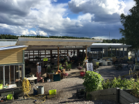 Solgårdens handelsträdgård vid Björnbodavägen.