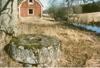 Ruin av Röby torp i Kårsta. En tid (1970-talet?) var torpet sommarbostad för Gustaf Hillerström.