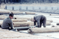 John och Svea arbetar med vassmattor över odlingen i drivbänkarna. John och Svea Rundqvist flyttade från Hässelby 1942 och köpte Ensta gård i Ormsta. Där bedrev de grönsaksodling fram till 1972 då området bebyggdes.