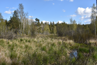 Av torpet Sibirien finns bara en ruin. 
Husgrund, jordkällare och stenmurar samt trädgårdsväxter som äppelträd och syren, vittnar om att det en gång har stått ett litet torp på platsen. Gran och tall har tagits bort för att frilägga resterna efter torpet och gynna de gamla trädgårdsväxterna. Arbetet har utförts av kommunen med stöd från Skogsstyrelsen.