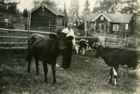 Hugo Bergqvist står bland korna i hagen på gården i Gunby. I bakgrunden syns den gamla stugan som revs på 1940-talet. Den nya stugan ligger österut.