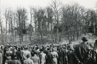 Auktion i Vallentuna på 1950-talet. Försäljning av boskap. Auktionsförrättare var Sven Wahlström. Platsen / gården okänd.