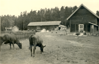 Kråktorp ligger utmed vägen mellan Lindholmens gård och Vada, strax öster om Södertorp.