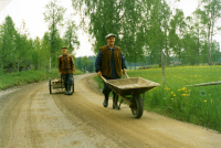 Syskonen Hugo (längst bak) och Simon Bergqvist, Gunby, Össeby-Garn.