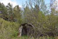 Den gamla apeln vid torpet Sibirien. Av torpet Sibirien finns bara en ruin. 
Husgrund, jordkällare och stenmurar samt trädgårdsväxter som äppelträd och syren, vittnar om att det en gång har stått ett litet torp på platsen. Gran och tall har tagits bort för att frilägga resterna efter torpet och gynna de gamla trädgårdsväxterna. Arbetet har utförts av kommunen med stöd från Skogsstyrelsen.