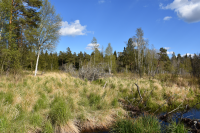 Av torpet Sibirien finns bara en ruin. 
Husgrund, jordkällare och stenmurar samt trädgårdsväxter som äppelträd och syren, vittnar om att det en gång har stått ett litet torp på platsen. Gran och tall har tagits bort för att frilägga resterna efter torpet och gynna de gamla trädgårdsväxterna. Arbetet har utförts av kommunen med stöd från Skogsstyrelsen.